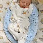 Photo by Dr Daniel Bingham (@Daniel_Bingham)