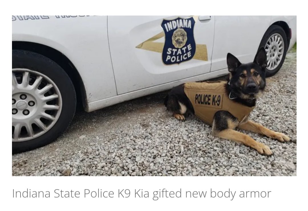 #Indiana State Police #K9 #Kai gifted new bulletproof/stab protective vest

With the help of private & corporate donations, non-profit Vested Interest in K9s (@VIK9s) has provided more than 5,500 vests to K9s in all 50 states

#ChicagoScanner

fox32chicago.com/news/indiana-s…