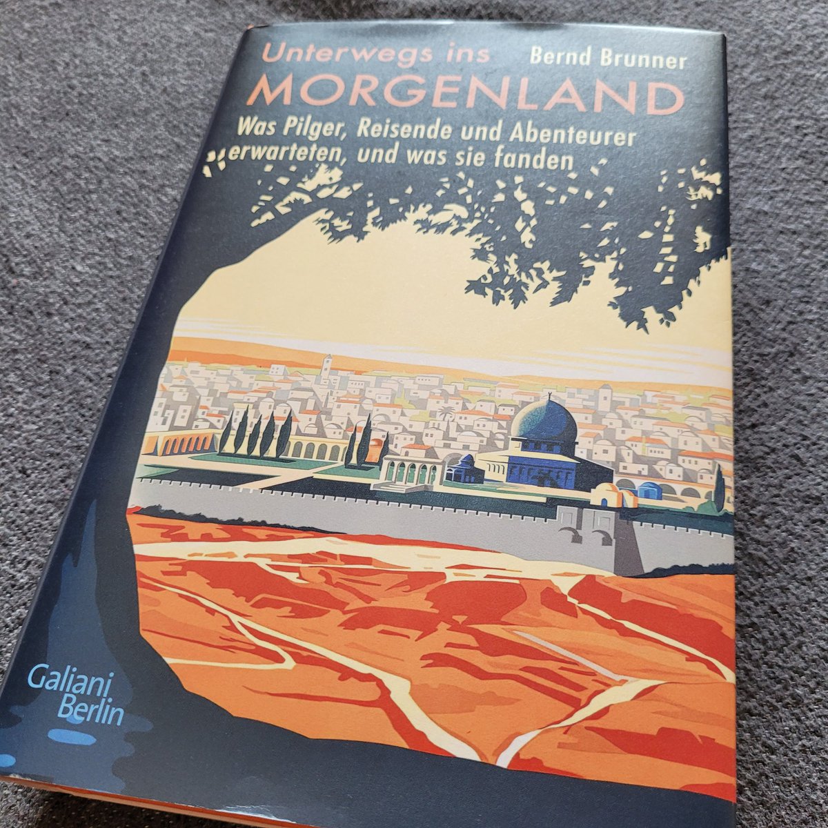 Ich freue mich über den Gewinn und auf die Lektüre von 'Unterwegs ins Morgenland' Von Bernd Brunner @arasrandevu Vielen Dank.