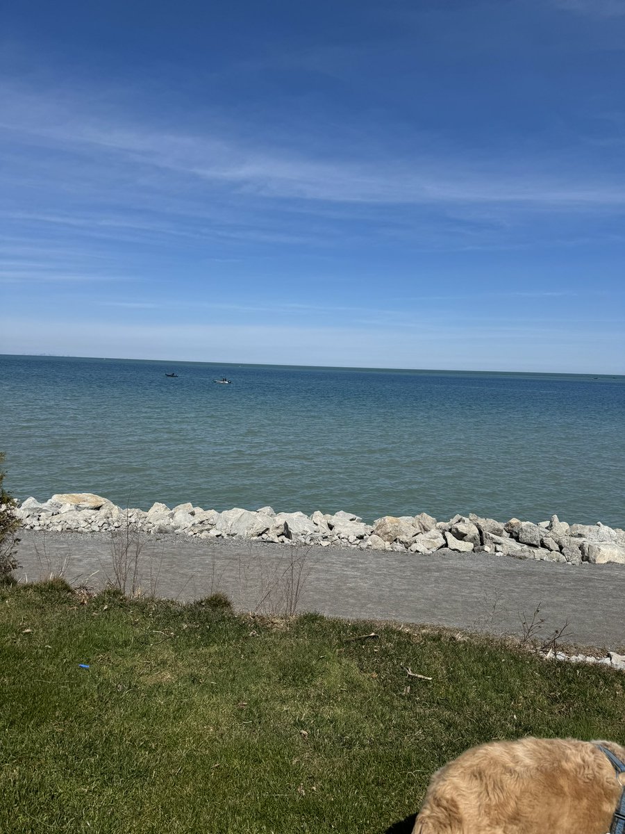 Mike Magwood tweet media