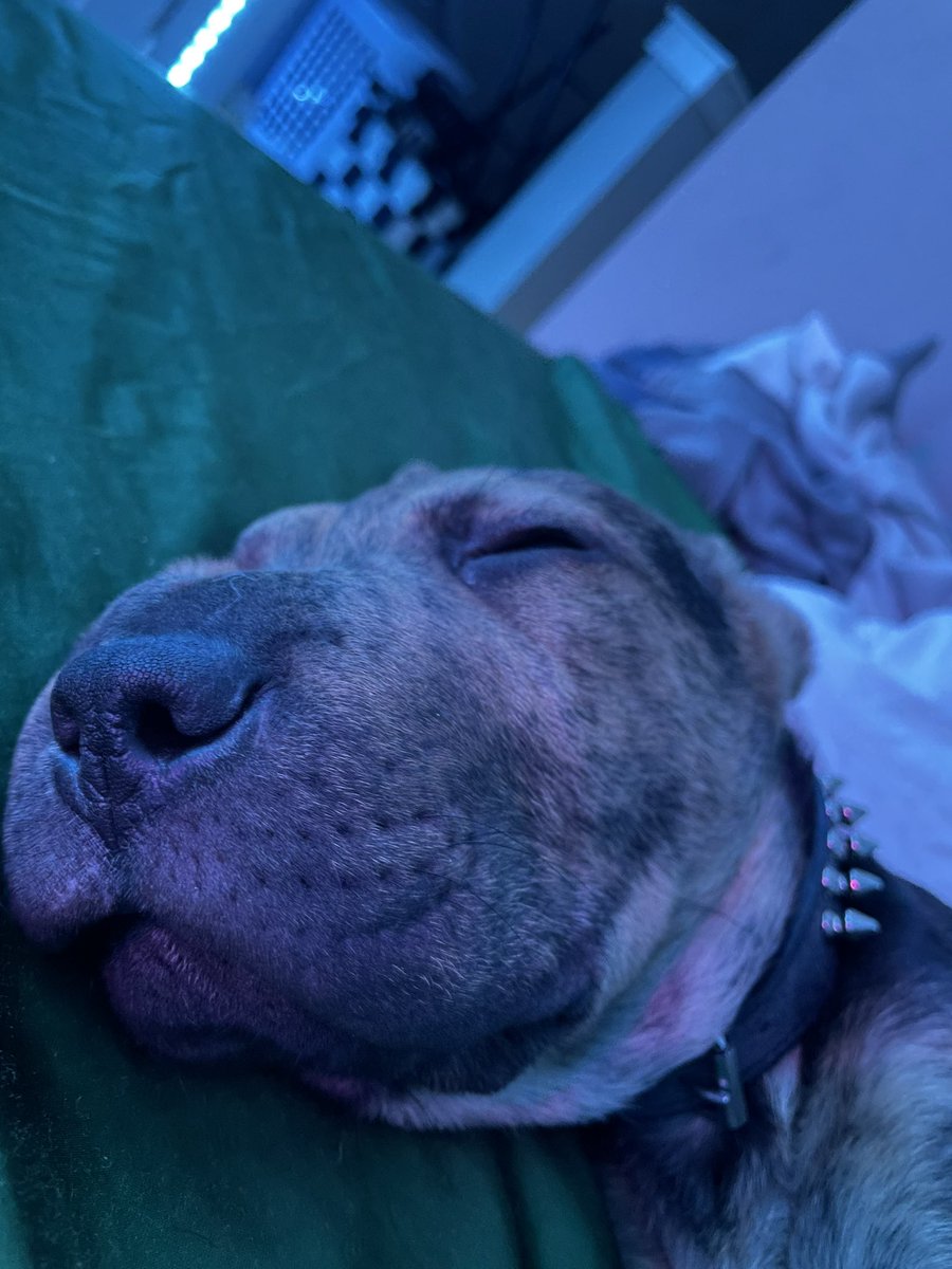 JordanBoxin's tweet image. say hi to twin 💫.