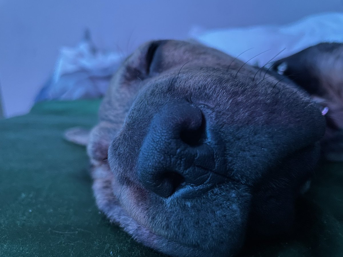 JordanBoxin's tweet image. say hi to twin 💫.