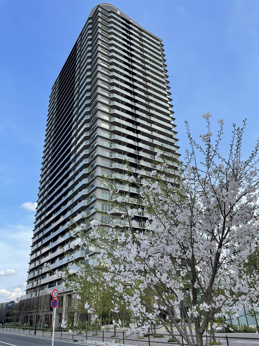 桜マン