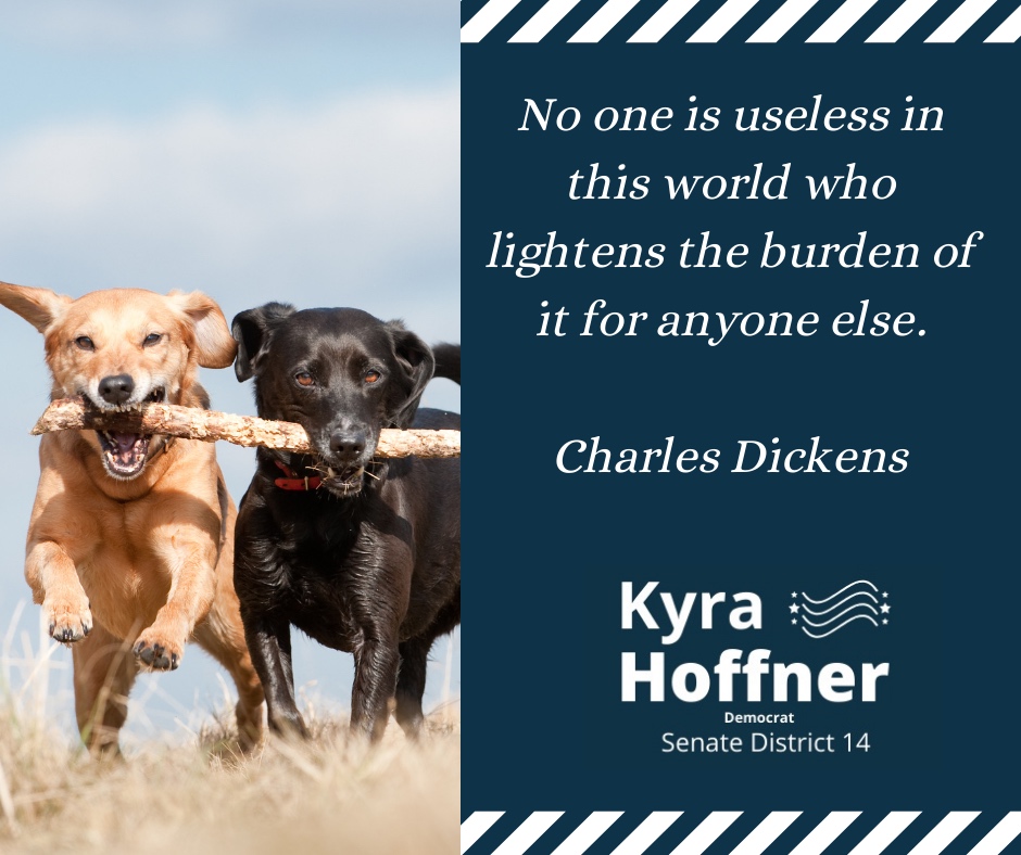 When Charles Dickens was 12 years old, he went to work in a shoe polish factory while his father was relegated to debtor’s prison. The experience stirred his lifelong zeal to expose the social and economic plights of the lower class in 19th-century London. Arguably the most po...