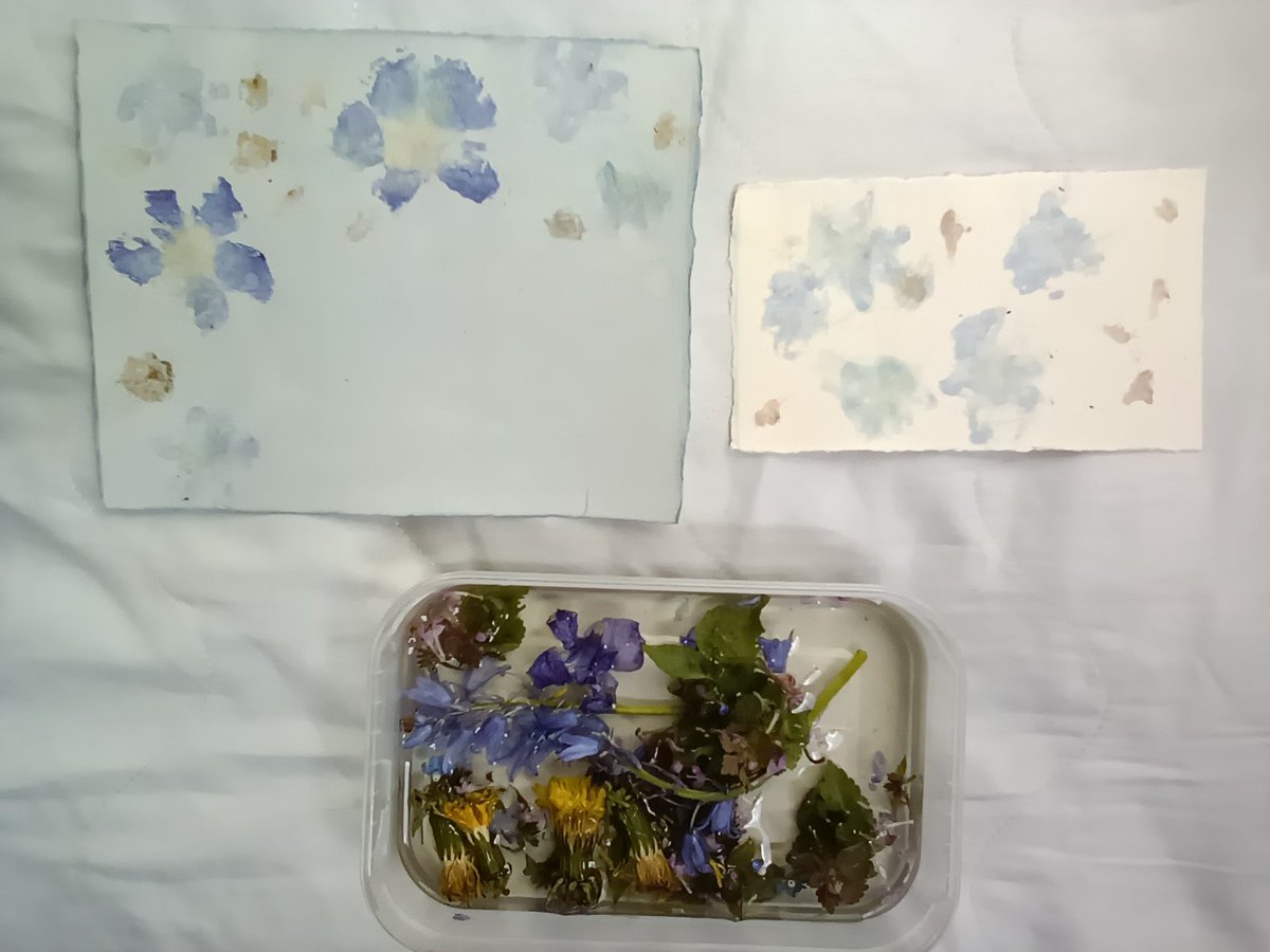 ShiroRatne's tweet photo. I do enjoy Flower Pounding very much! 
Especially in spring when it's blooming everywhere.
Here's my attempt on this sunday!
#springtime #Flowers #natural #dye https://t.co/XVF9a5E01S