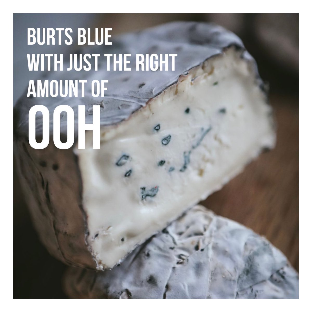 Burts Blue … #cheesemaking #cheese #morethanjustcheese #morecheeseplease #cheeselover #allthecheese #cheeseenthusiast #cheesestagram #artisancheese #cheesemakingworkshop #lovecheese #cheeselovers #fromage #cheesemakers #cheeseclass #learntomakecheese