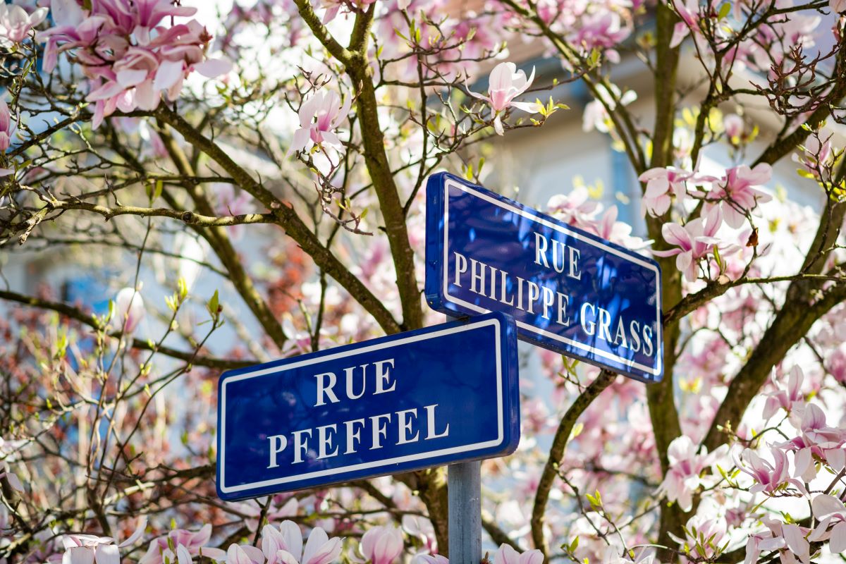 Explore France tweet media