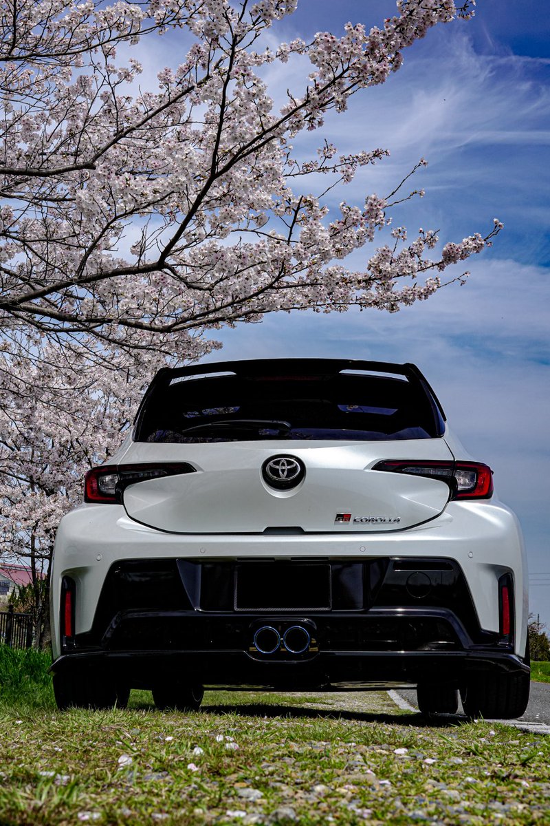 lilimal13s's tweet photo. 初めてカメラでカローラ撮った📸
#GRCOLLORA #cherryblossom https://t.co/UqbxTAGI7H