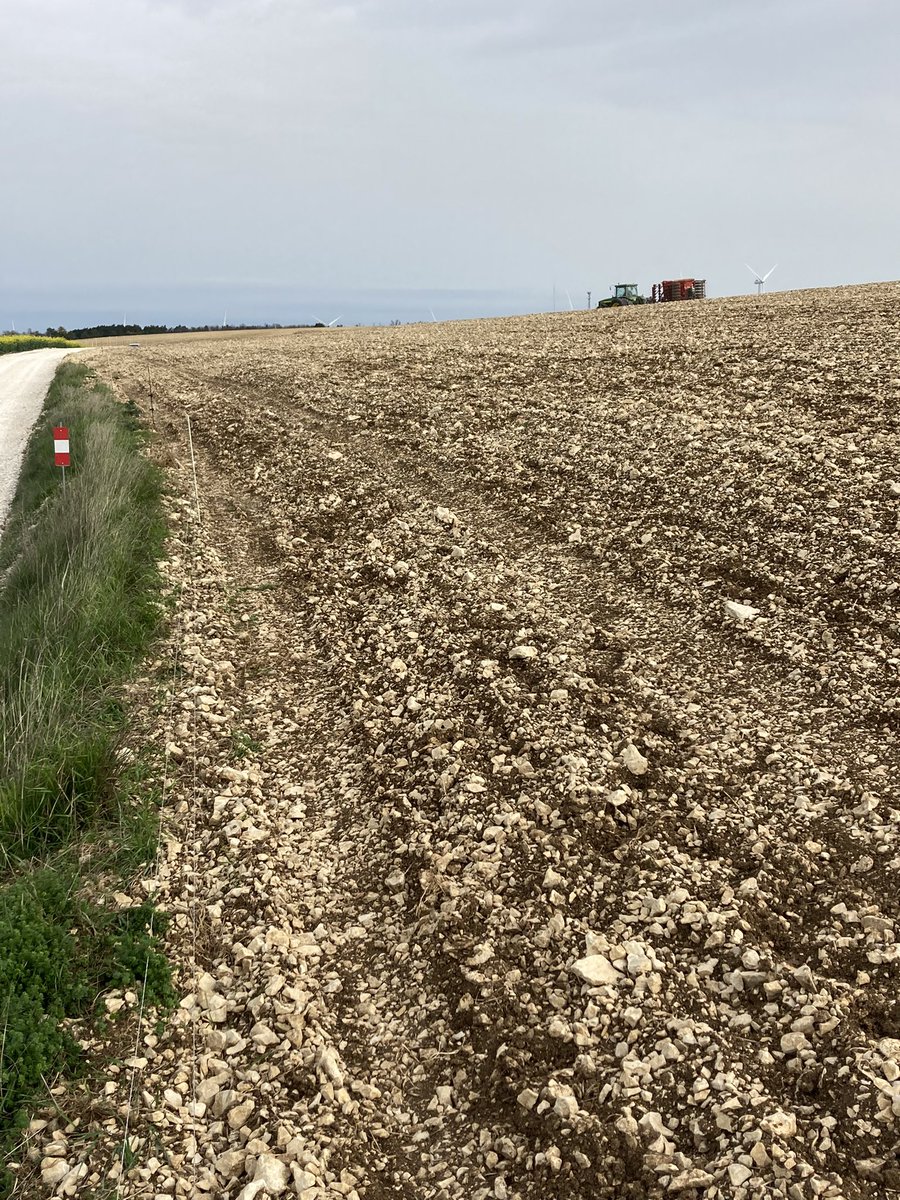 BONNIN1402's tweet image. J’ai oublié : 
#Ceuxquisèment @JohnDeere @vaderstad @Fragritwittos 

#Ceuxquiprotègent le #PlanProtéines (un peu tard)

#Ceuxquiexpertisent (un peu tôt) 
@ChassePartage