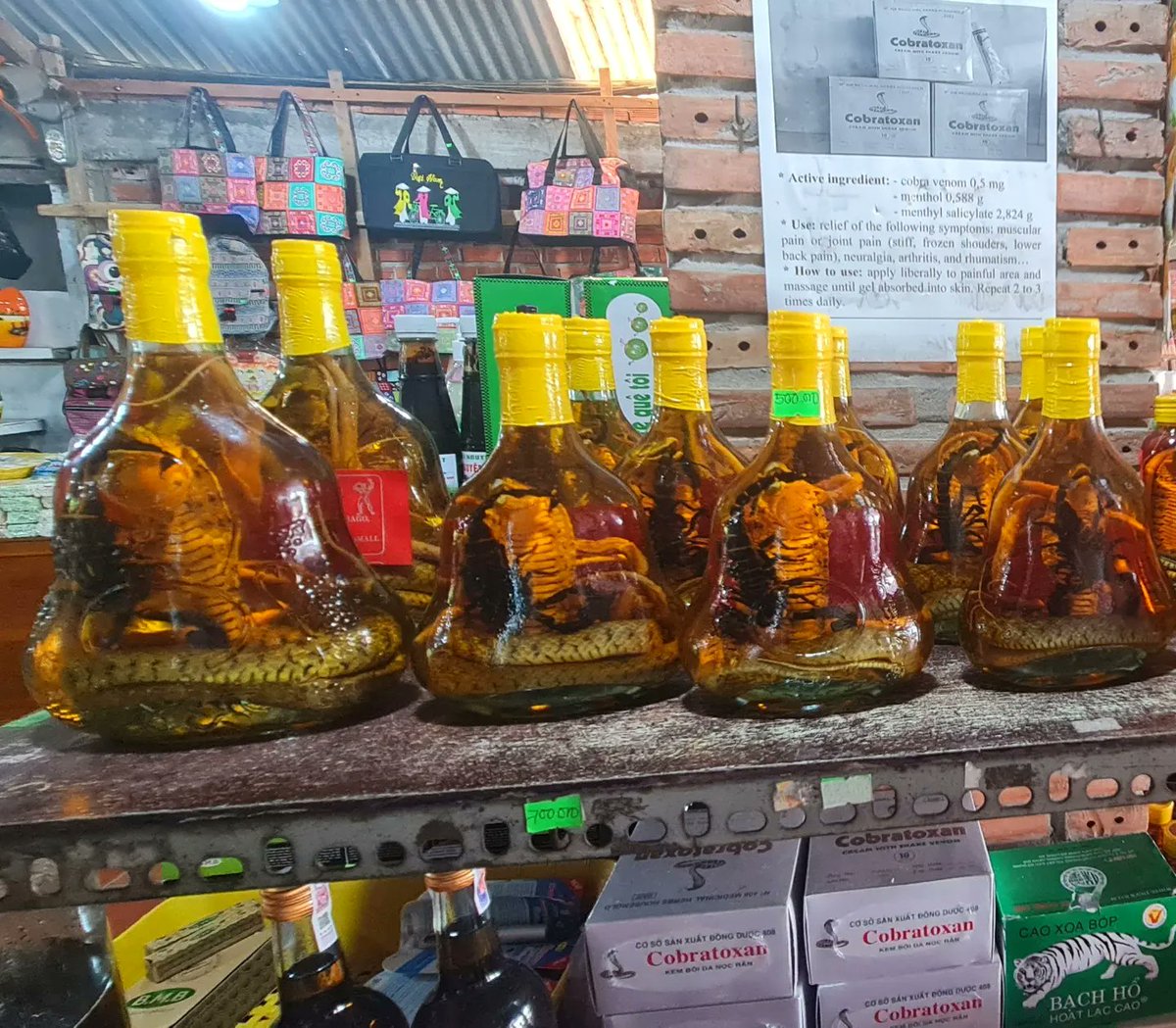 Would you try Cobra Snake Rice Wine? Or would you prefer the Jack Fruit or Banana Wine? In Vietnam, there was also Cobratoxen for sale. A gel that has 0,5mgs of Cobra Venom, which apparently is very good for muscular, rheumatic pain, neuralgia, arthrits, and joint pain. Just…