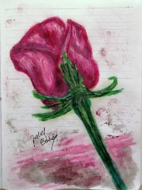 'Rose 🌹 🌹 🌹' Artwork on scketchbook by jaleledineart
#art #dailyart #artwork #jaleledineart