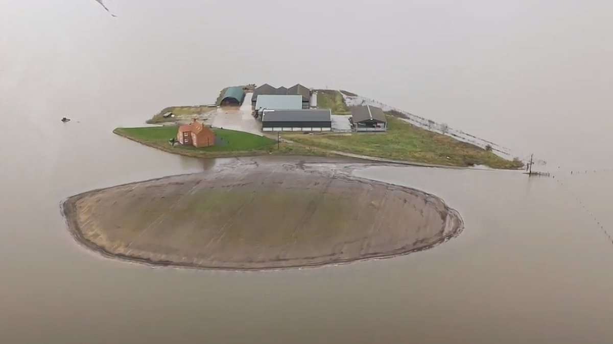 Father-to-be left £1M out of pocket after flooding turns home into an island only accessible by BOAT six months after river burst its banks as he says ordeal has been 'soul-destroying' trib.al/yy1j0oq