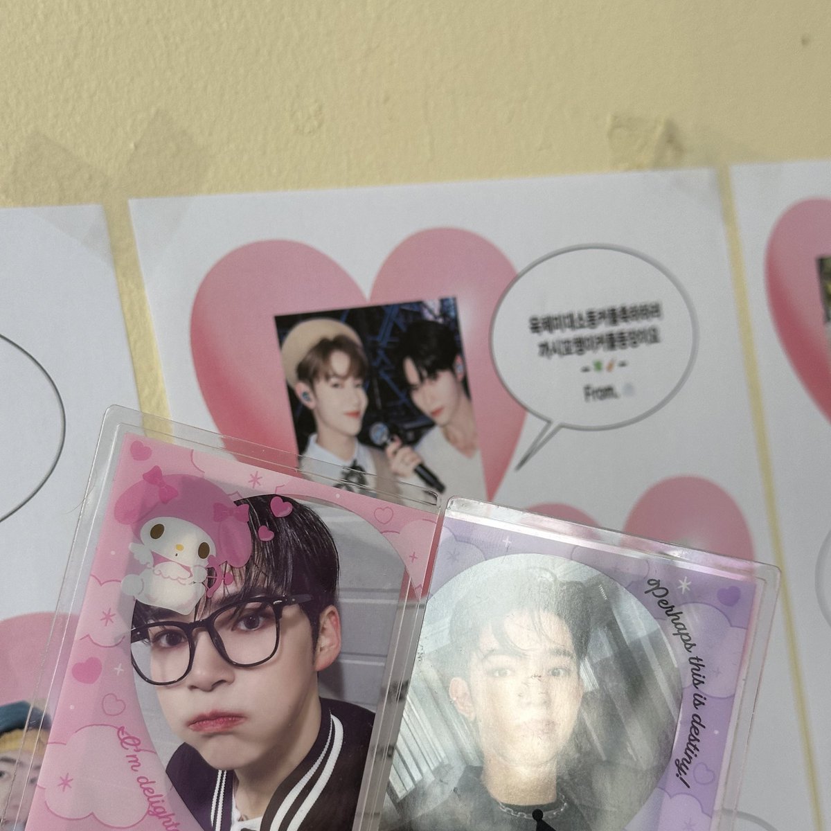 비니느리 축하사절단 나들이 다녀왔어욘