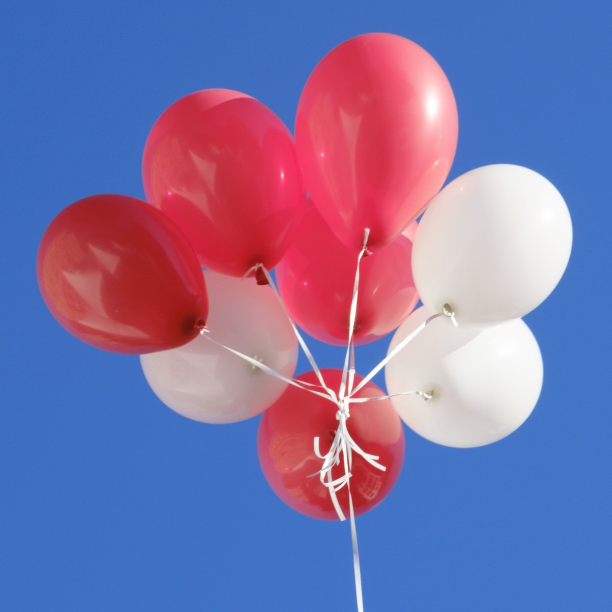 Heute feiern wir den #Weltgesundheitstag. Ein Tag, an dem wir uns erinnern, dass die Gesundheit unser grösster Schatz ist! Denken wir nicht nur darüber nach, sondern tun wir auch etwas: Tragt Euch das #raceforlife am 15. September 2024 in eurer Agenda ein.