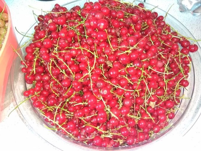 _ziggystardust4's tweet photo. my least favorite berries, i HATE them https://t.co/PCEicoMegJ