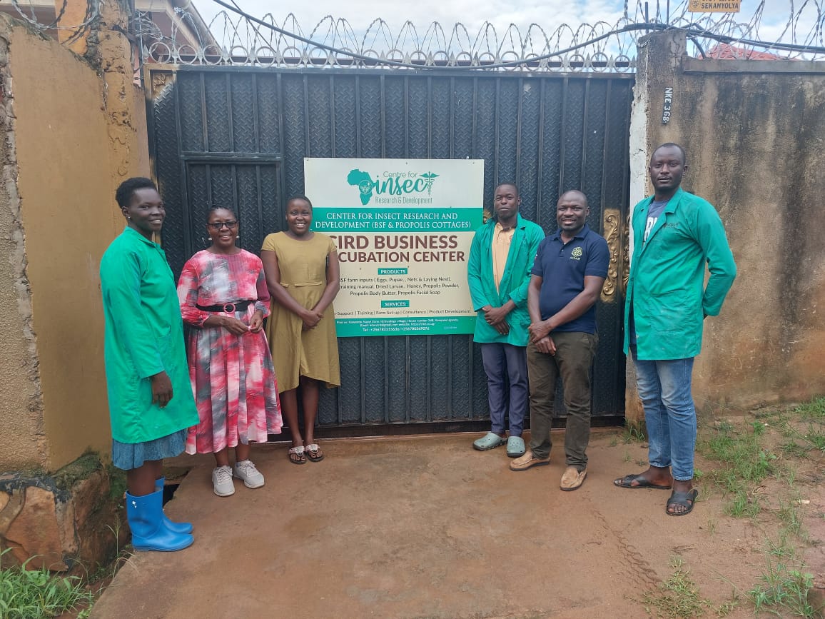 CIRD was honoured to host Prof Dorothy Nakimbugwe and Dr Geofrey Ssempuya to disucss training implementation of the protein Africa project in Uganda which intends to train upto 2000 BSF farmers. CIRD will be one of the training partners.
#bsf #uganda #usaidpeer #makerere #icipe