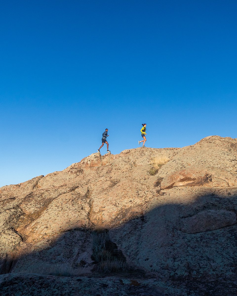 Montane tweet media