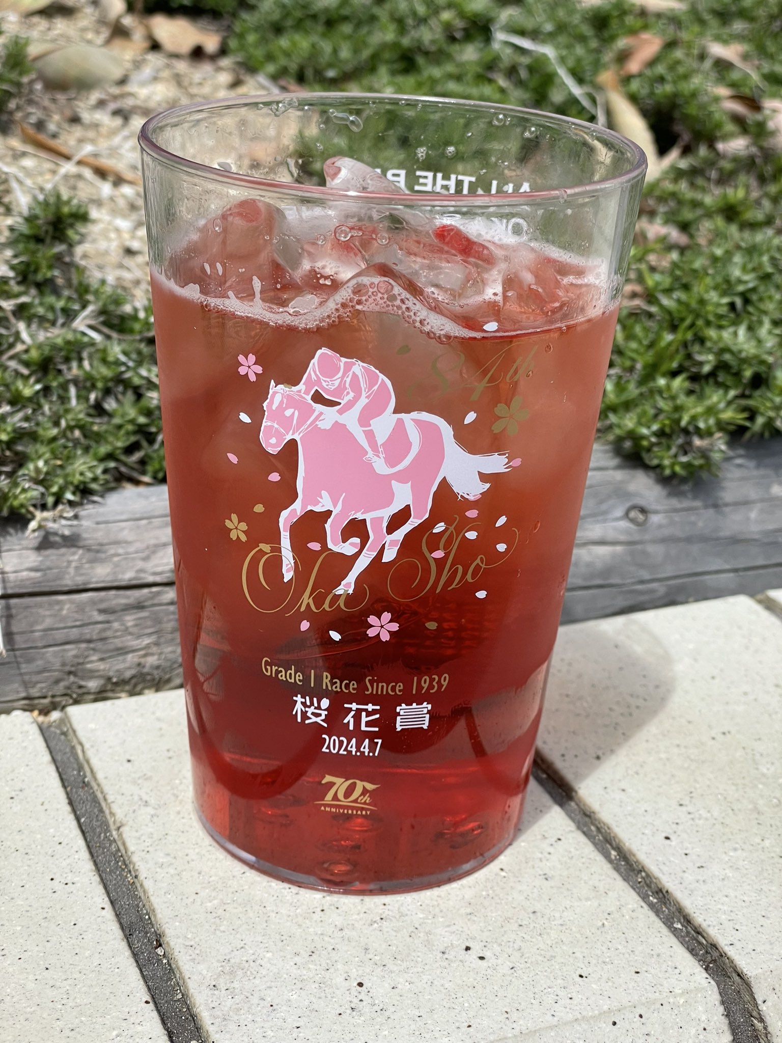 こちょこちょパー シャム猫 ねこ レジン 花 じゃらじゃら ハート 苦 ピアス