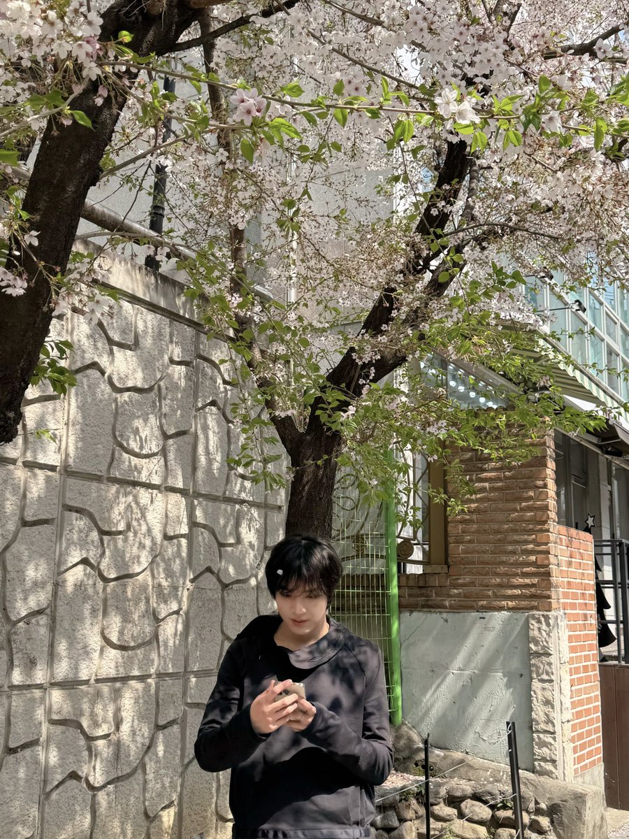 NCTsmtown_DREAM's tweet image. #MARK #HAECHAN 
#NCTDREAM #Smoothie #NCTDREAM_Smoothie