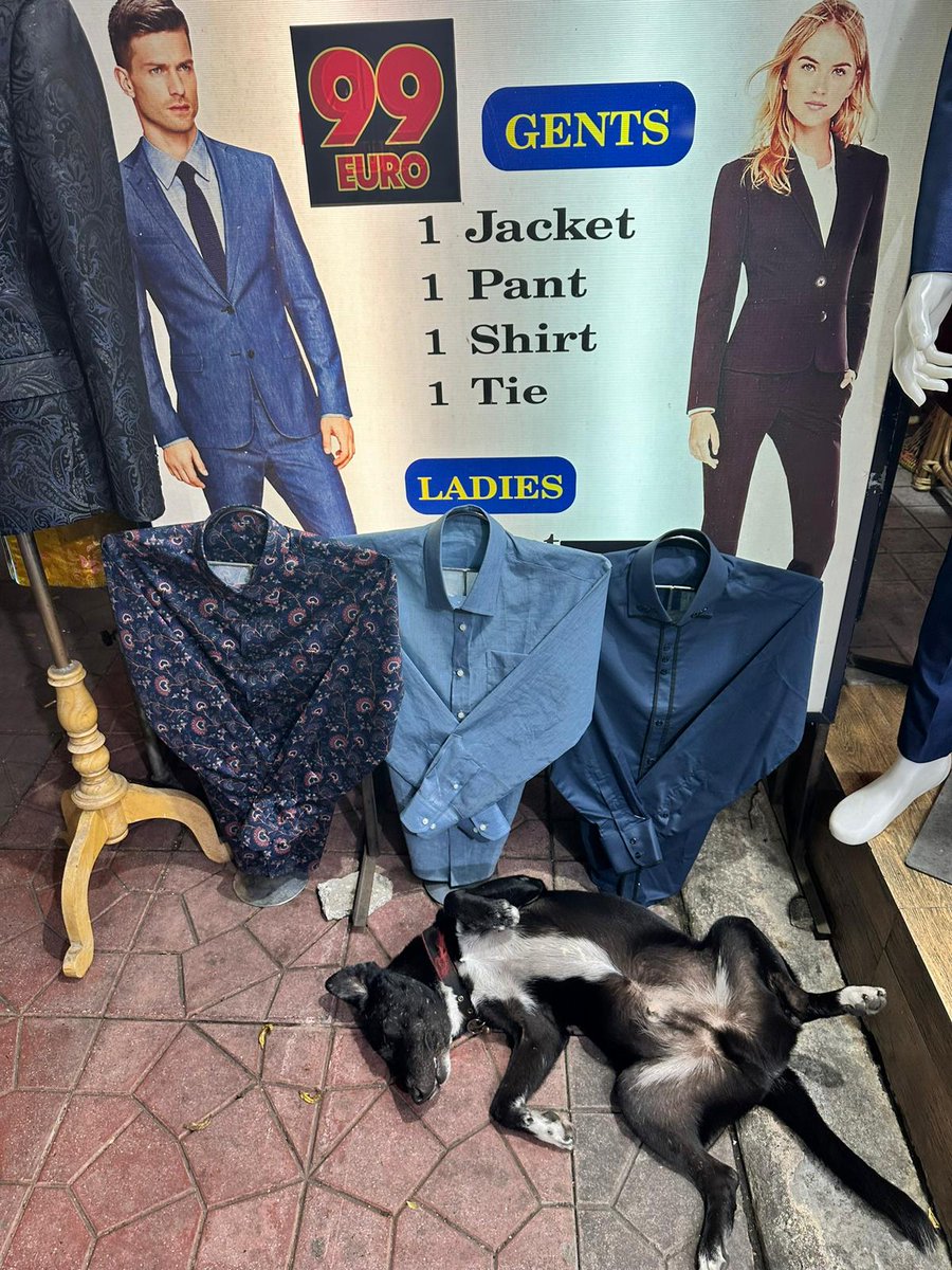 I bought this tailored suit and fell in love with their local street dog called Pong. The tailors all left food for him and I got into the habit of buying vegan dog food for him too - he ate every morsel!

#vegan #vegans #govegan #vegantravel