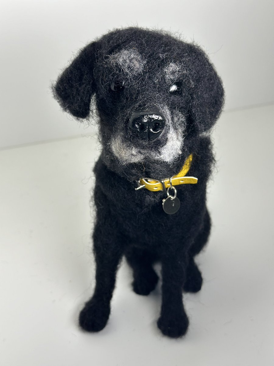 Making an older distinguished needle felted Labrador today - hope it works out like this one