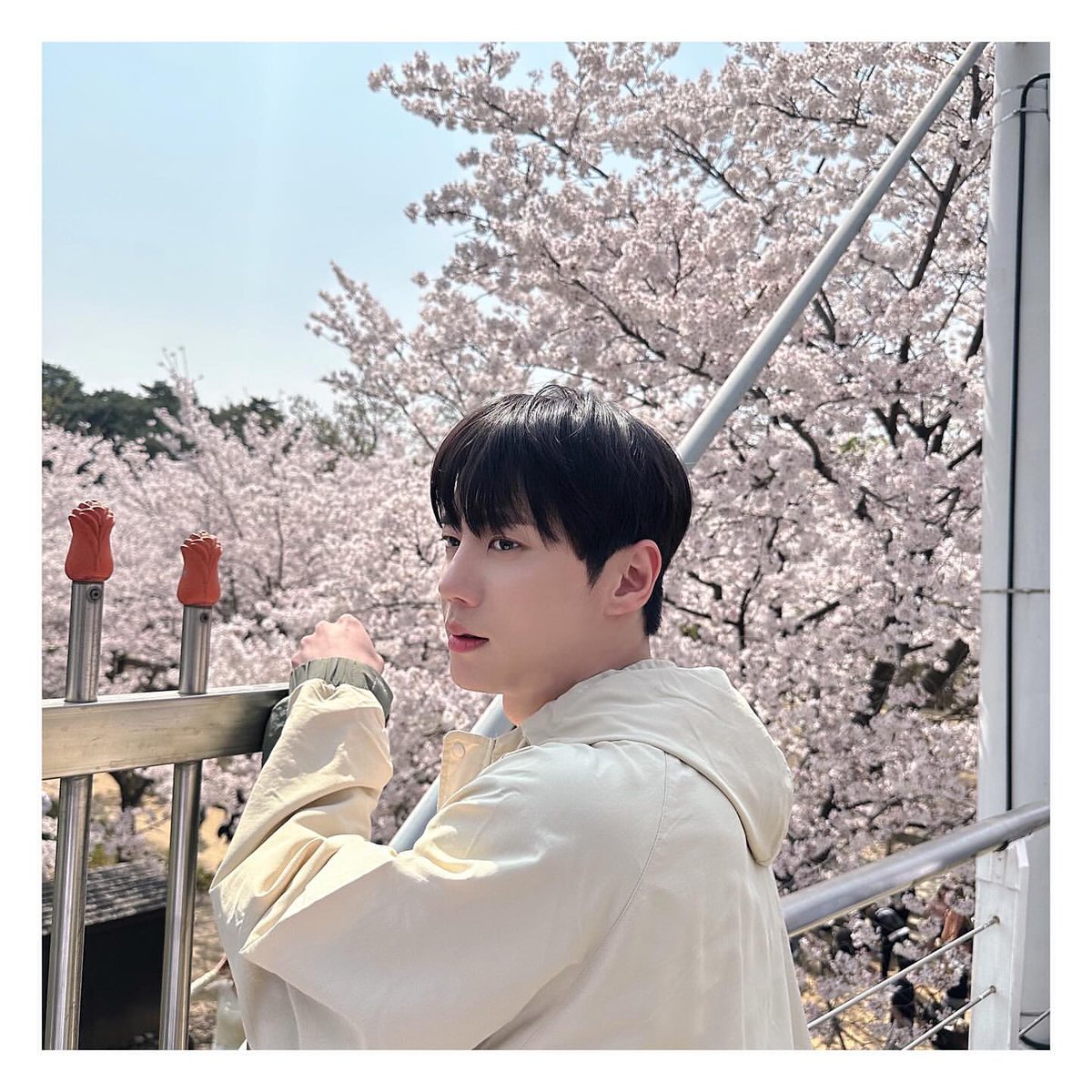 🦊쭌바라기 tweet media