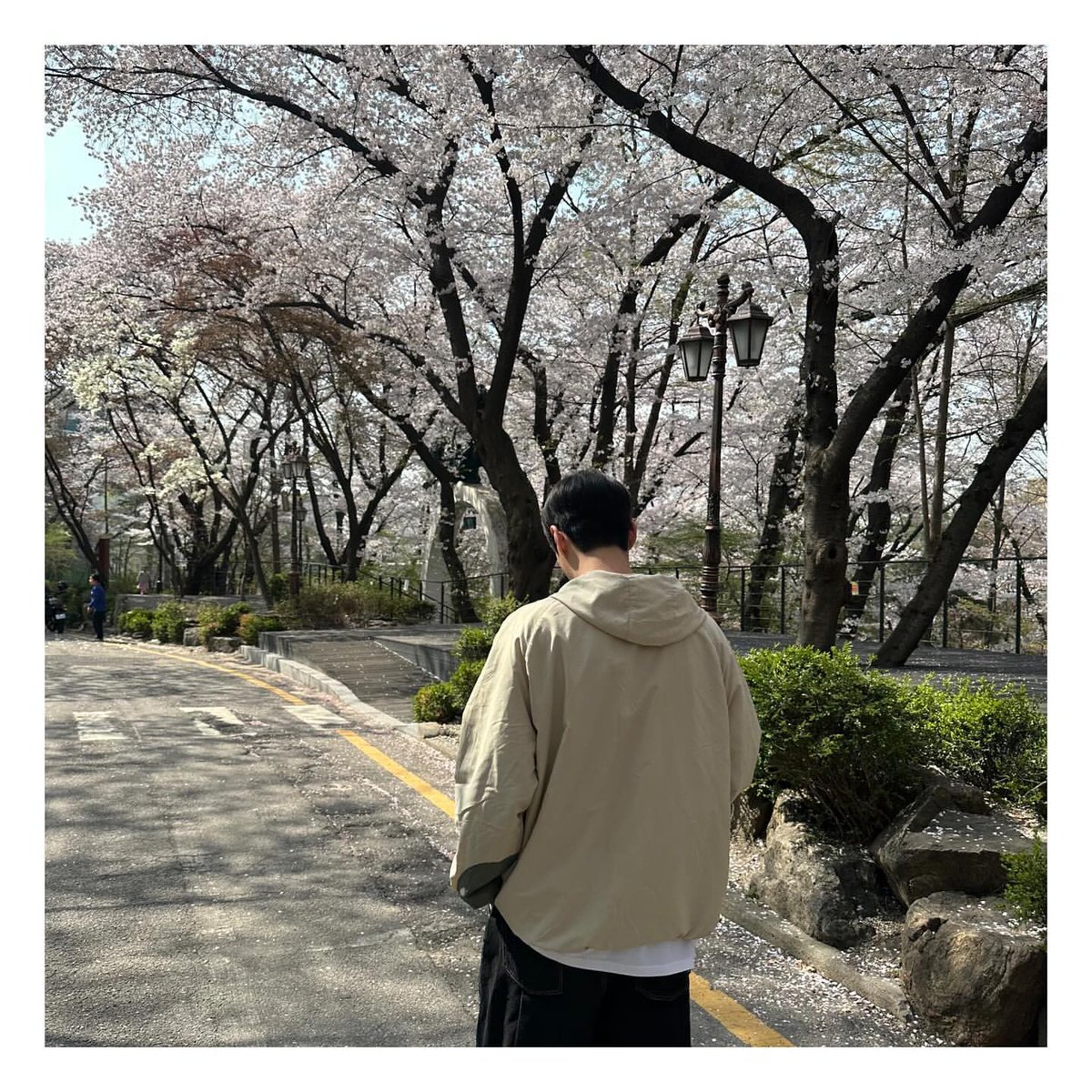 🦊쭌바라기 tweet media