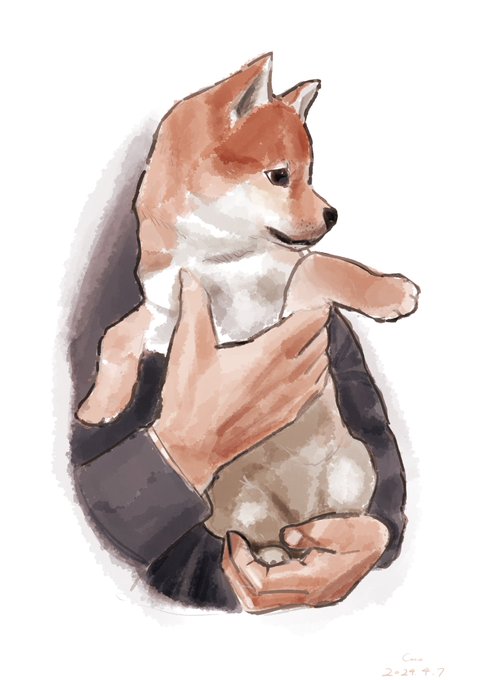 実家に来たばかりの柴犬の絵家族に送ったら好評だった 