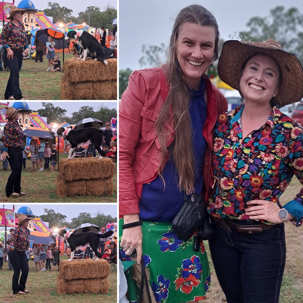 KatApel's tweet image. Fun to see Ash Barky in her first public performance with Cilla Pershouse (Blue Gum Farm TV) at the Gayndah Show.  It rained pretty heavily - but their act was by no means a washout! #MusterDogs #AshBarky