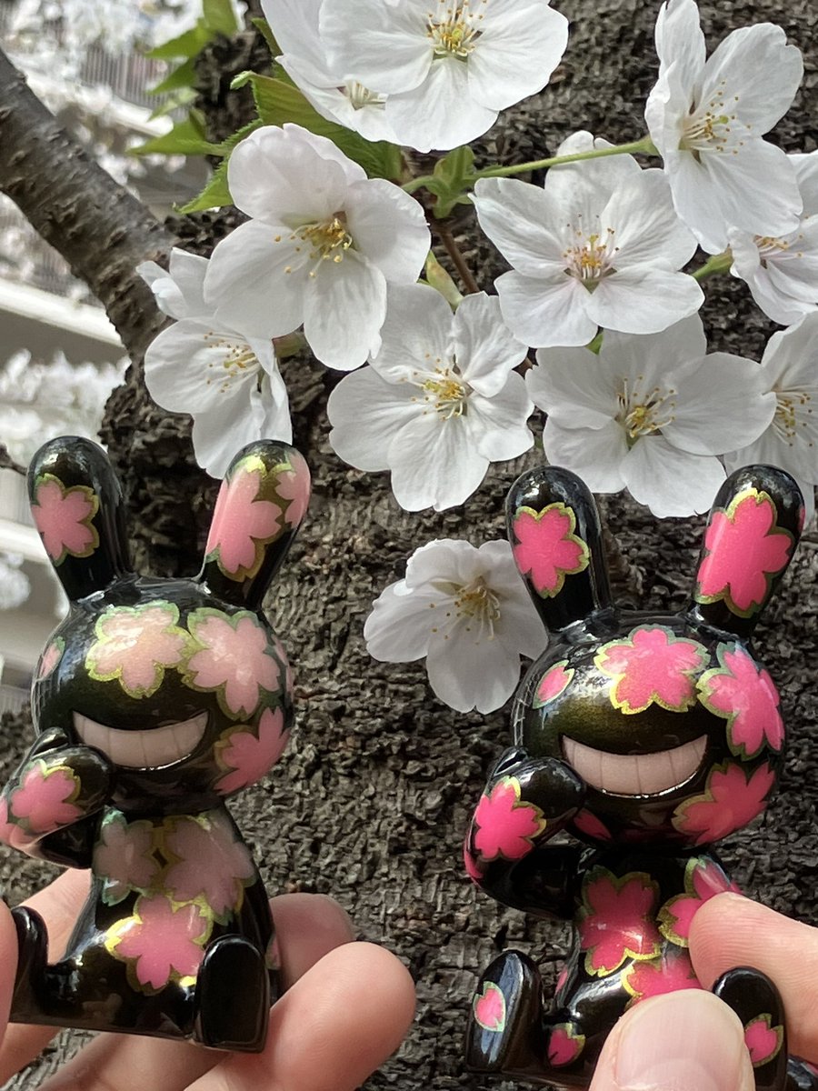 poppo_figure's tweet photo. 花びら鑑賞

@GUN_3 #blacktabbit #ブラックラビット https://t.co/7i2hXia0xm