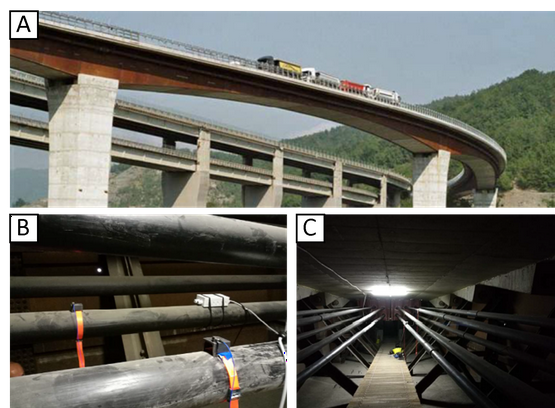 GoatstackAI's tweet image. Innovative use of Transformer neural networks and Knowledge Distillation for Structural Health Monitoring outperforms traditional methods. #StructuralHealthMonitoring #Transformers #KnowledgeDistillation