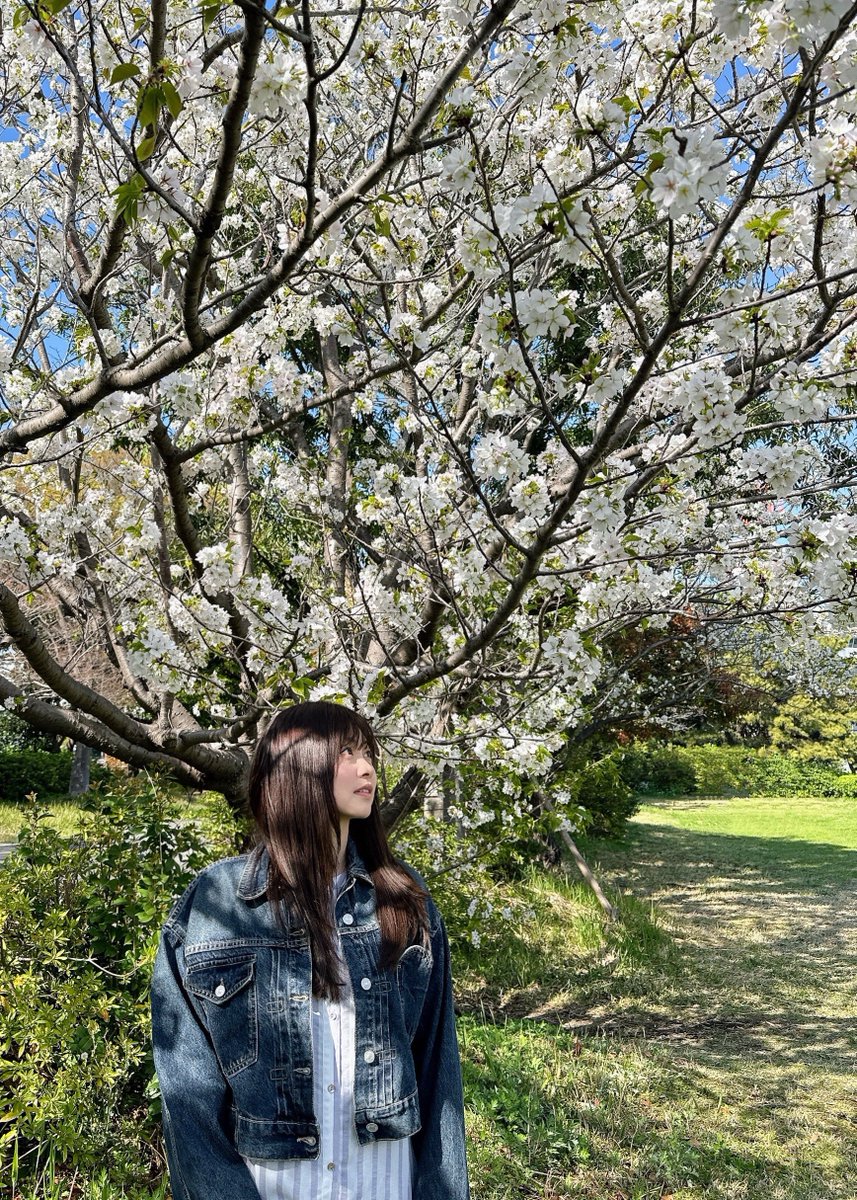 たまにはぼんやり見上げたりしながら、頑張りましょい🌸 4月もよろしくね🌸