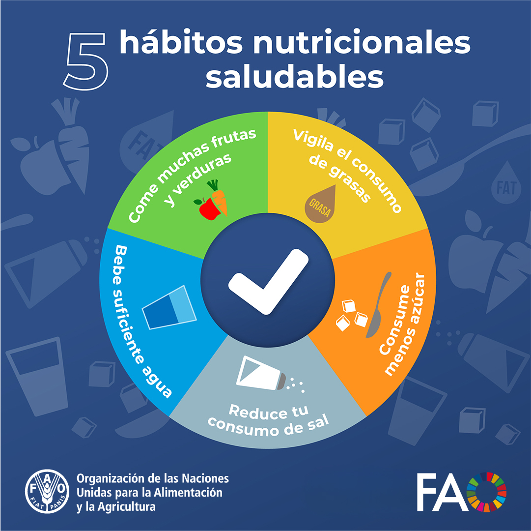 La alimentación saludable es clave para lograr una buena salud👇 🥗Come muchas verduras y frutas 🌭Vigila el consumo de grasas 🧂🍬Consume menos azúcar y sal 💧Bebe suficiente agua 🚶‍♀️Haz ejercicio físico ➡️bit.ly/3J9PwtZ #DíaMundialDeLaSalud #DietasSaludables