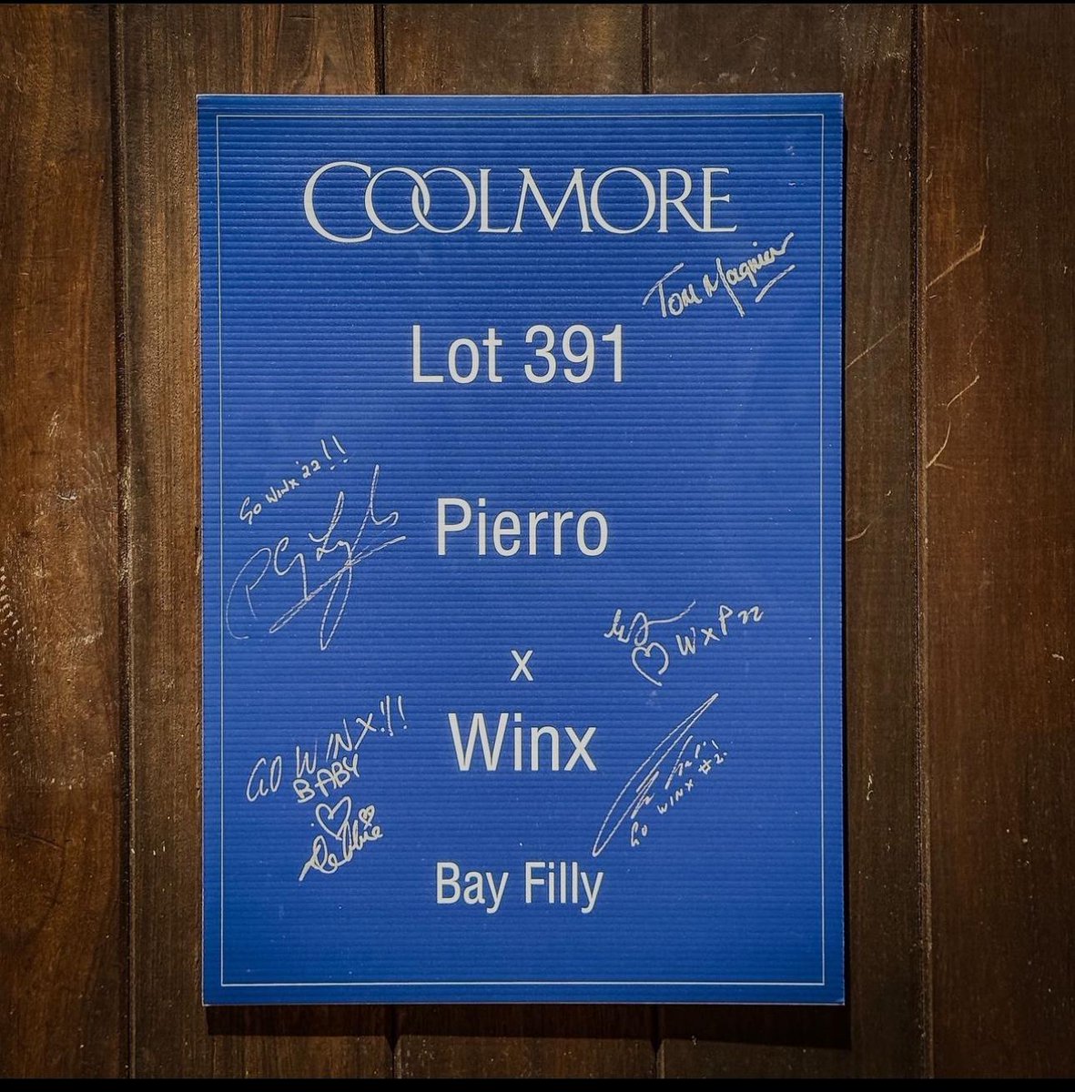 WIN the SIGNED Lot 391 Pierro x Winx door card! A piece of history could be yours to take home. Simply like this post and follow our page. Share this post and tag us for a bonus entry! We will pick a winner at random on Monday 8th April at 5pm. #Coolmore #HomeOfChampions #Winx