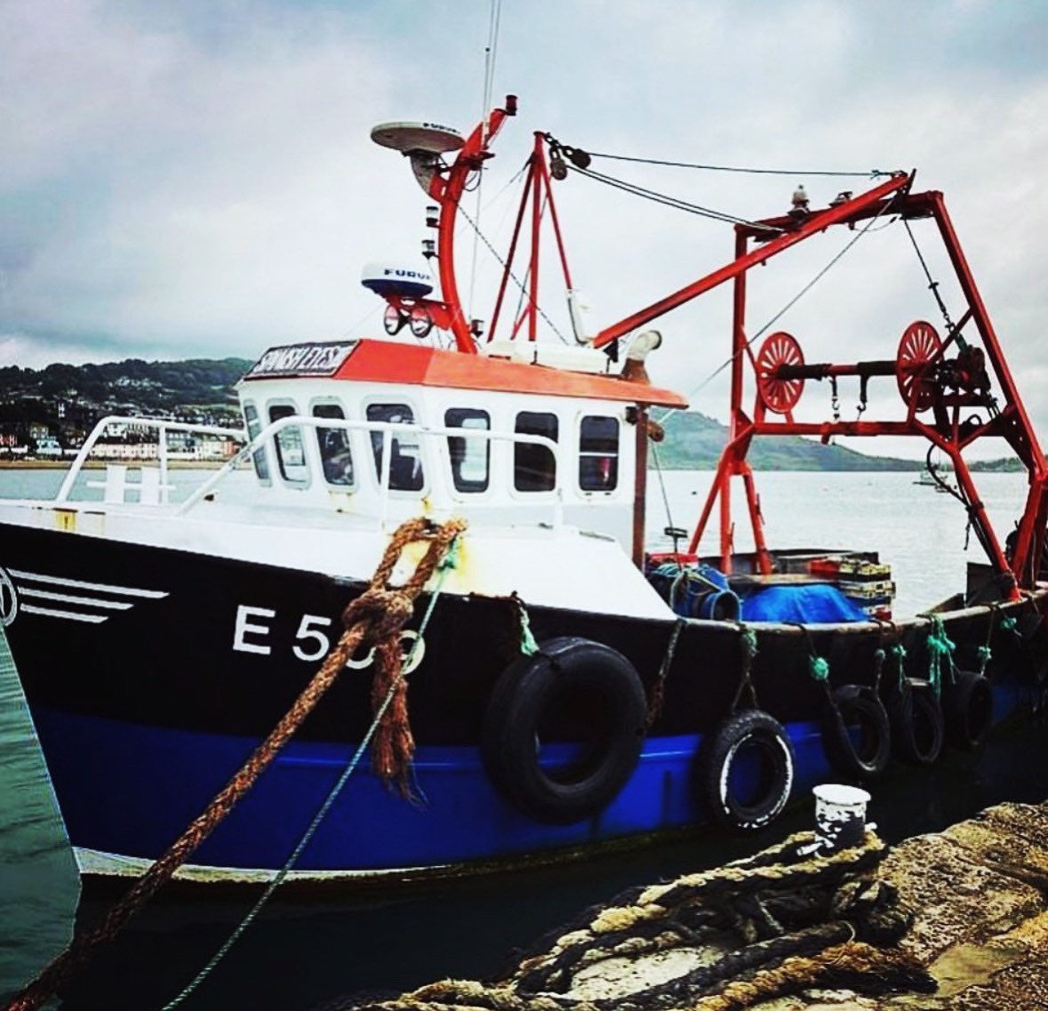 #MeetOurFleet 
This beauty is Luke Wason’s SPANISH EYES III in #LymeRegis 
You can meet more of our fleet on our website. 
#fishing #fisherman #collaboration #cic #lowimpact #eatlocal #seafood