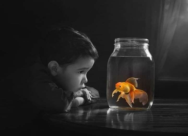 PeloniMaria's tweet image. Το καλό με τους ανθρώπους που είναι γεμάτοι με αγάπη είναι ότι δίνουν συνεχώς ευκαιρίες στους άλλους, ακόμα κ σε όσους δεν τις αξίζουν. 
Το κακό είναι ότι έχουν μνήμη χρυσόψαρου κ κάθε φορά κάνουν το ίδιο λάθος,κ το επαναλαμβάνουν ξανά κ ξανά νομίζοντας πως οι άλλοι θα αλλάξουν..