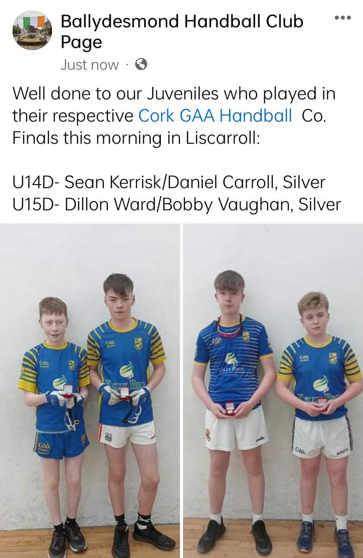 Ballydesmond Handball Club tweet media