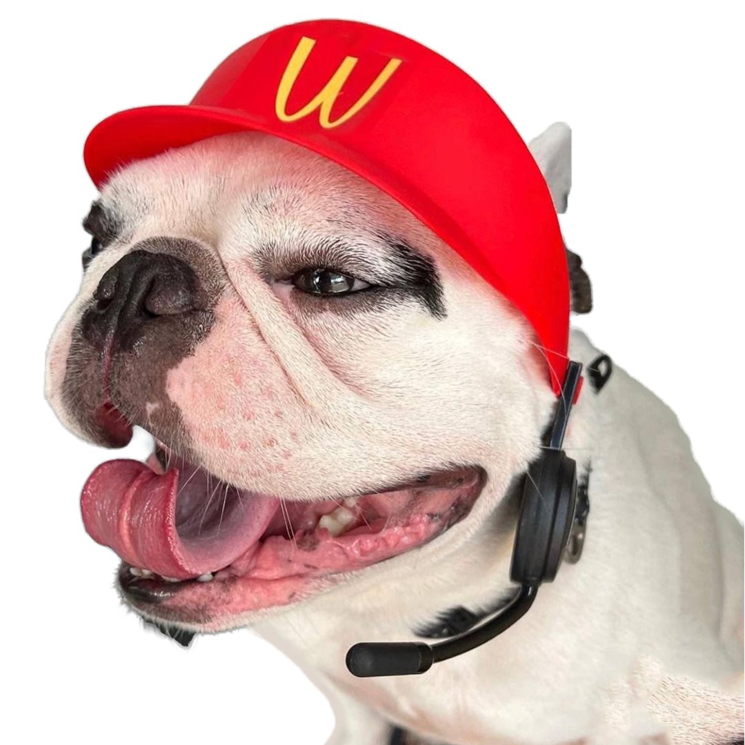 #Brokie Inu is announcing 2 #Giveaways. 500,000 $brokie tokens for the winner of our #brokiememeart #Contest  and #brokiestories. Both contest will end Wednesday 10 April 23:59 hrs UTC+8.

BrokieMemeArt : I have attached an example created by a Brokie. Brilliant &amp; funny! You will