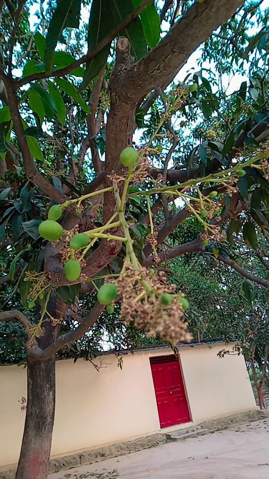 anjanikumar90s's tweet image. #NativePlace
PC-  Family WA group