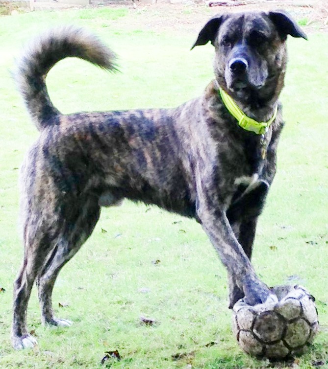 Bracken says... TCC is the best place for laboratory consumables and product packaging. Huge range, great value whether your order is £1 or £10 000. Stock levels are always live theconsumablescompany.com