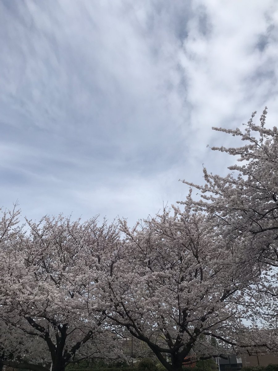 AKRHT's tweet photo. マラニック楽しかった☆ https://t.co/MhswgElfmV