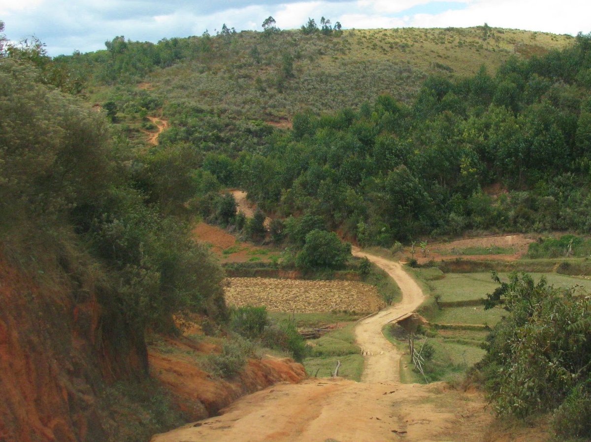 Rachel Neugarten @rachelneugarten.bsky.social (@rachelneugarten) on Twitter photo Our #OpenAccess paper exploring the impacts of a political crisis in #Madagascar on the performance of community forests and protected areas is published!
nature.com/articles/s4146…
<a href="/idoimpact/">#teamcounterfactual</a>
<a href="/RanaivoRas/">Ranaivo Rasolofoson</a> <a href="/cbb2cornell/">Chris Barrett</a> <a href="/ghislainv/">Ghislain Vranckx</a>
1/7 Our #OpenAccess paper exploring the impacts of a political crisis in #Madagascar on the performance of community forests and protected areas is published!
nature.com/articles/s4146…
<a href="/idoimpact/">#teamcounterfactual</a>
<a href="/RanaivoRas/">Ranaivo Rasolofoson</a> <a href="/cbb2cornell/">Chris Barrett</a> <a href="/ghislainv/">Ghislain Vranckx</a>
1/7