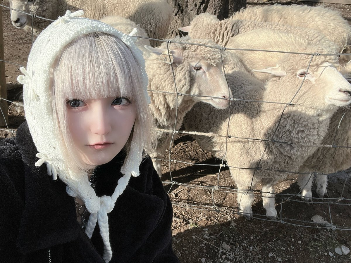 ヒルネの練習してくる🐏