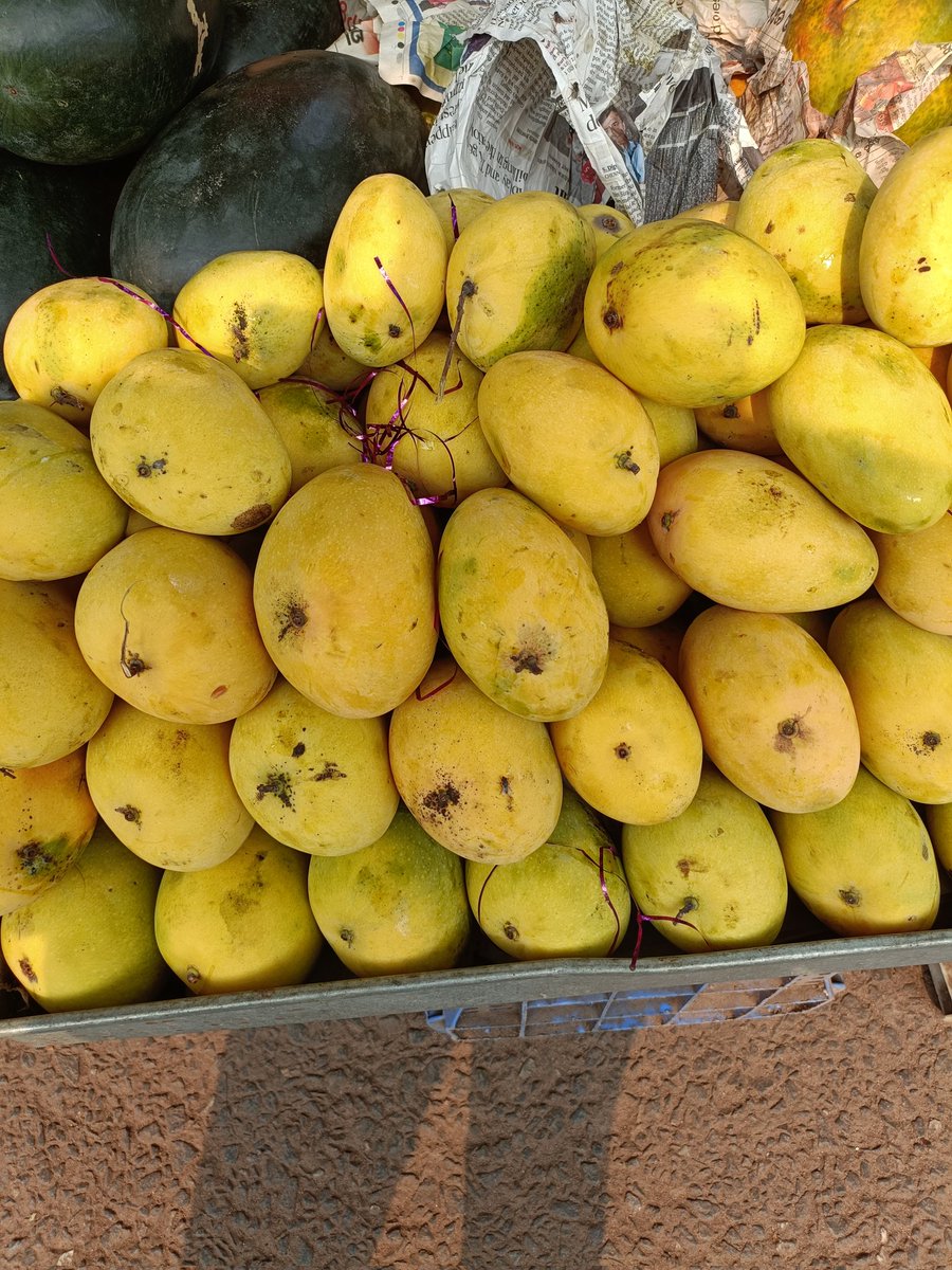 amareshbiswal72's tweet image. ମାର୍କେଟରୁ ଆଣି ନୂଆ ଆମ୍ବ ଚାଖିଲେଣି? ଆପଣଂକ ଆଡେ ଏବେ ରେଟ୍ କେତେ? #mangolover