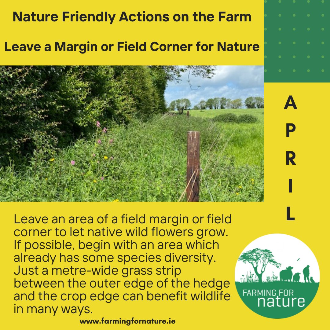 Every month we share some quick nature friendly tips . Help us to create a rich calendar of tips to support and celebrate farming for nature. Leave a tip in the comments or email info@farmingfornature.ie 🌺🐦‍⬛🪲🍃