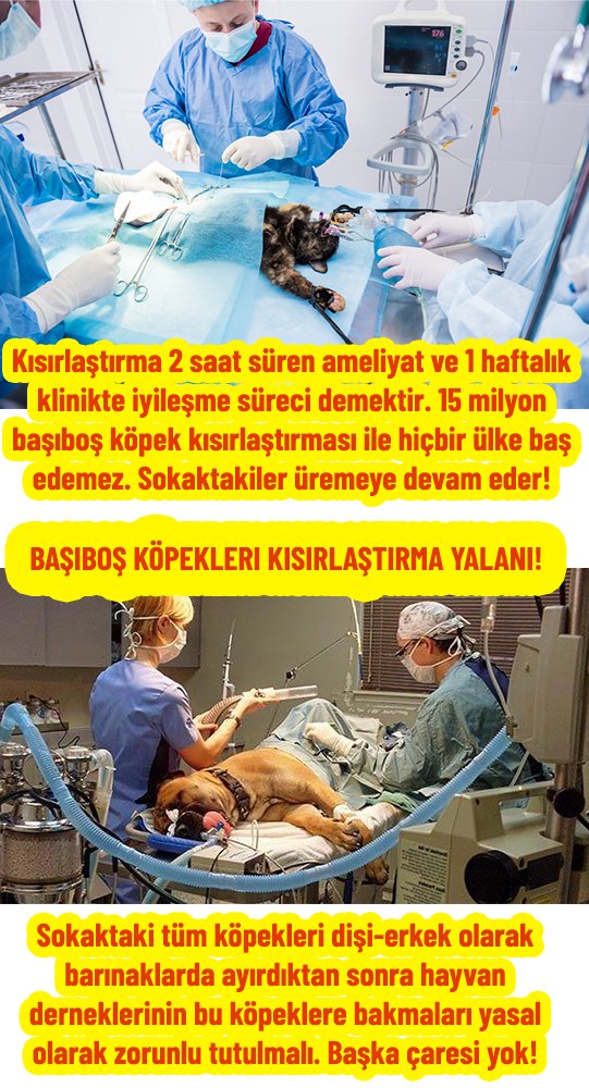Asım Ersoy tweet media