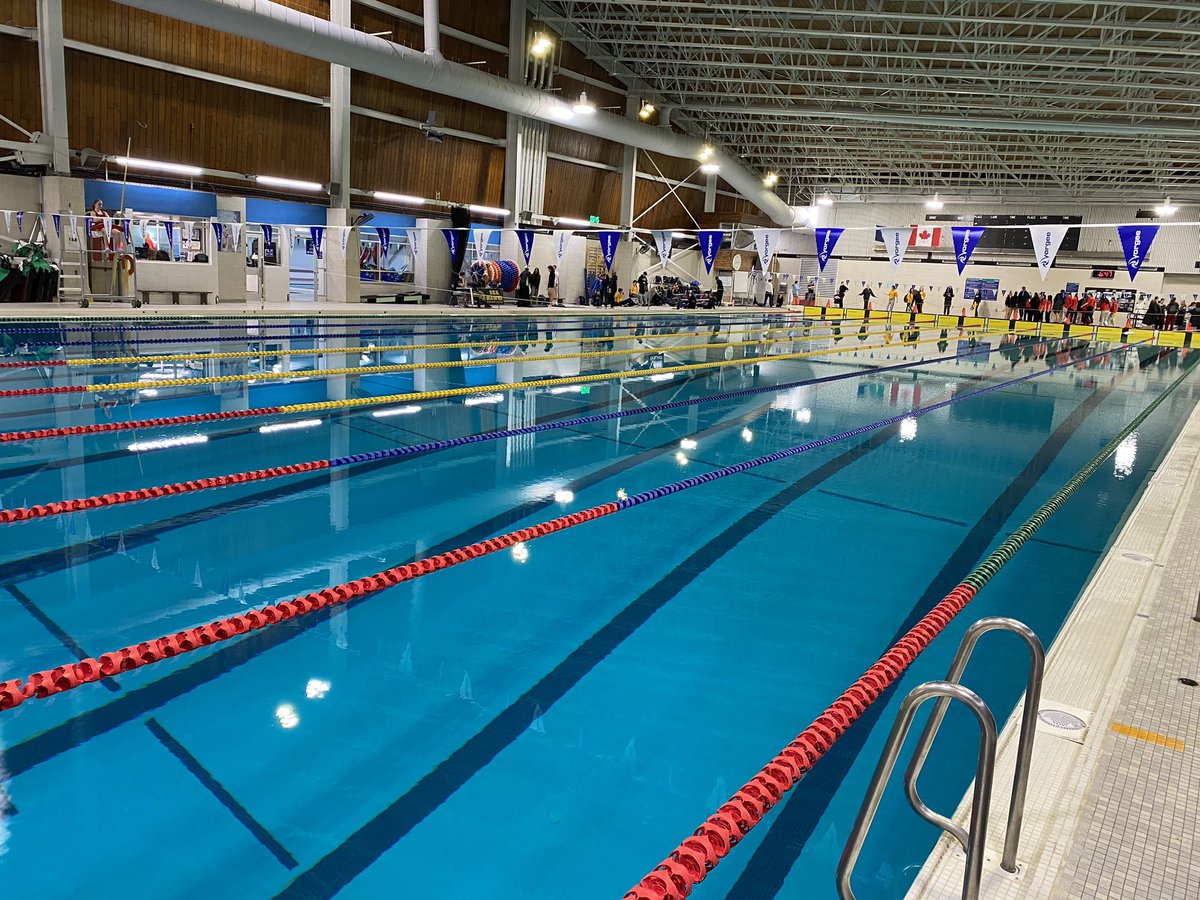 OYO Swim Club tweet media