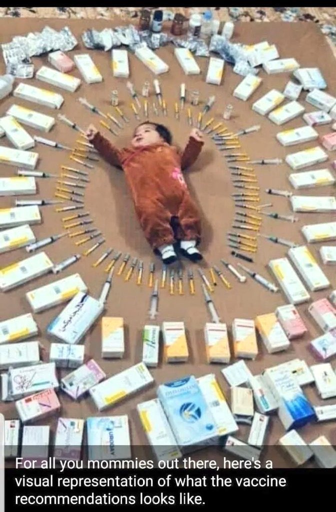 tecn_preocupado's tweet photo. Pero todo esto asusta y no es normal.

Las vacunas que recibe un niño hasta los 18 años exceden con mucho la lógica de servir solo para lo que dicen servir. https://t.co/0ORkujzqpe