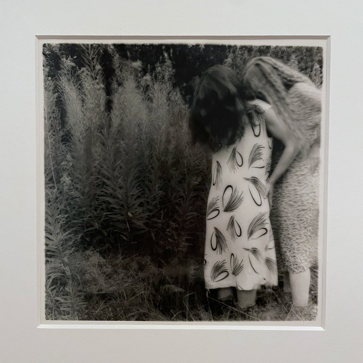 Sydney Suffolk tweet media