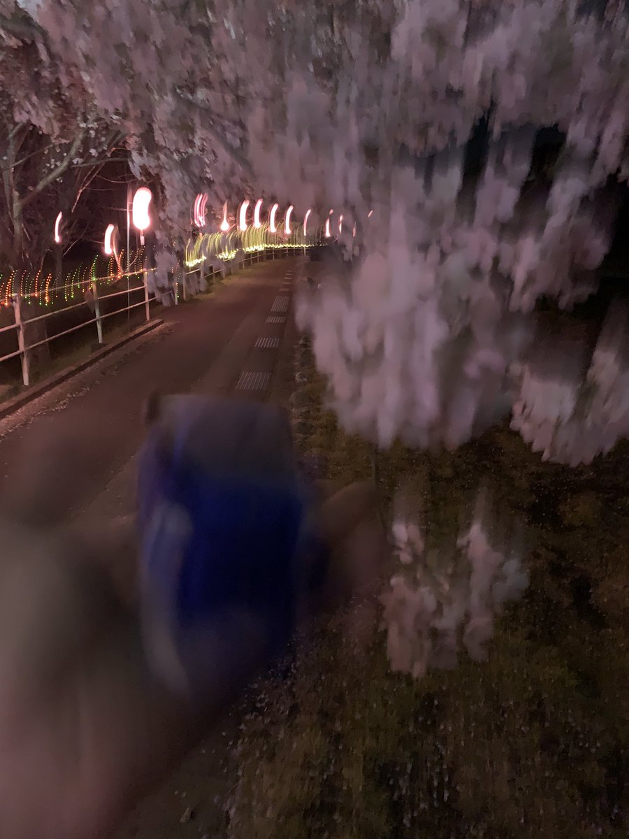 夜桜🌸写真撮るの難しい。 #手のひらに愛車を